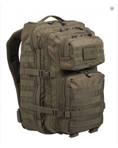 US LG OLIVE ASSAULT PACK